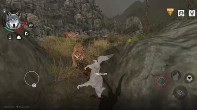 Скачать взломанную Wolf Online 2 [Много денег] MOD apk на Андроид