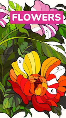 Скачать взломанную Calm Color - Color By Number [Много денег] MOD apk на Андроид