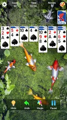 Скачать взломанную Solitaire — классический пасьянс «Косынка» [Много монет] MOD apk на Андроид