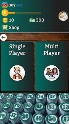 Скачать взломанную Loto - Russian lotto bingo game with more players [Много монет] MOD apk на Андроид