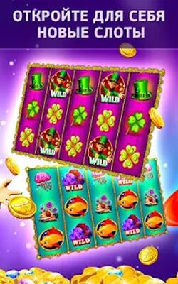 Скачать взломанную Дельфин  [Бесплатные покупки] MOD apk на Андроид