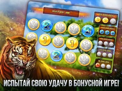 Скачать взломанную Casino Slot Machines - Слоты! [Много монет] MOD apk на Андроид
