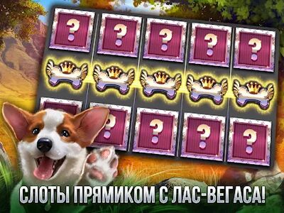 Скачать взломанную Casino Slot Machines - Слоты! [Много монет] MOD apk на Андроид