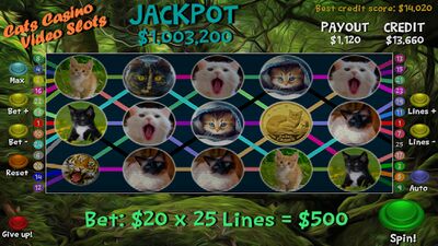 Скачать взломанную Cats Casino Video Slots [Много денег] MOD apk на Андроид
