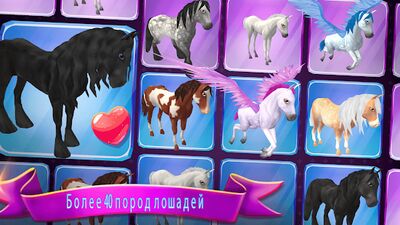 Скачать взломанную Лошадиный рай - Ранчо моей мечты [Много монет] MOD apk на Андроид