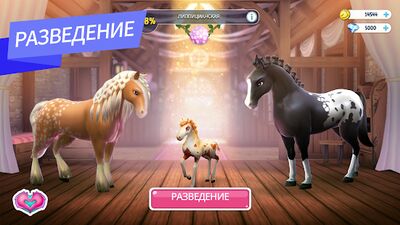Скачать взломанную Horse Haven World Adventures [Бесплатные покупки] MOD apk на Андроид