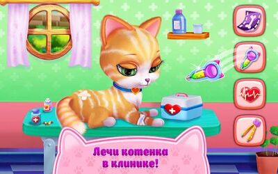 Скачать взломанную Любовь Котенка - Мой Пушистик [Много монет] MOD apk на Андроид