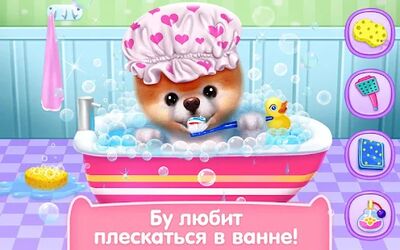 Скачать взломанную Бу - Самая милая собачка! [Много монет] MOD apk на Андроид