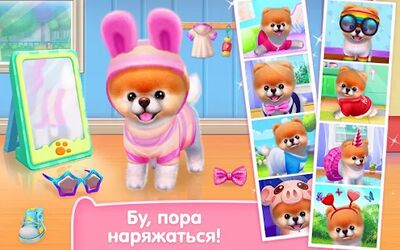 Скачать взломанную Бу - Самая милая собачка! [Много монет] MOD apk на Андроид