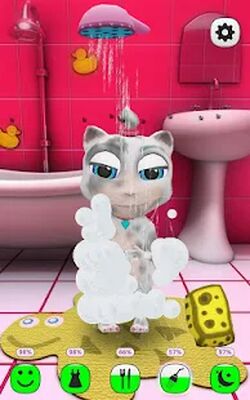 Скачать взломанную Моя Говорящая Кошка [Мод меню] MOD apk на Андроид