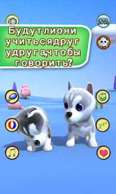 Скачать взломанную Говоря хаски Собаки [Бесплатные покупки] MOD apk на Андроид