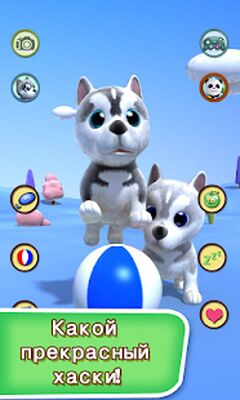 Скачать взломанную Говоря хаски Собаки [Бесплатные покупки] MOD apk на Андроид