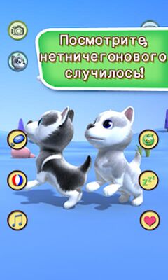 Скачать взломанную Говоря хаски Собаки [Бесплатные покупки] MOD apk на Андроид