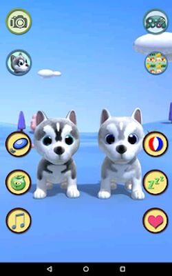 Скачать взломанную Говоря хаски Собаки [Бесплатные покупки] MOD apk на Андроид