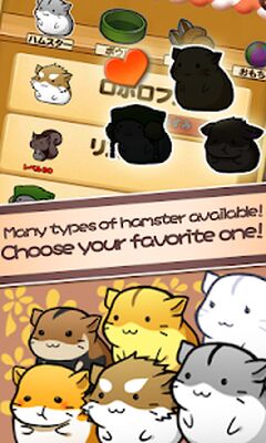 Скачать взломанную Hamster Life - Жизнь хомяка [Много денег] MOD apk на Андроид