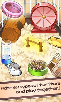 Скачать взломанную Hamster Life - Жизнь хомяка [Много денег] MOD apk на Андроид