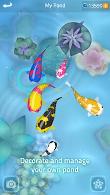 Скачать взломанную Zen Koi 2 [Много монет] MOD apk на Андроид