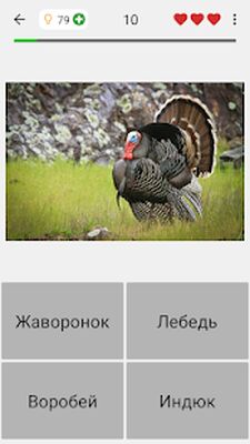 Скачать взломанную Животные - Все звери и динозавры в игре о зоологии [Мод меню] MOD apk на Андроид
