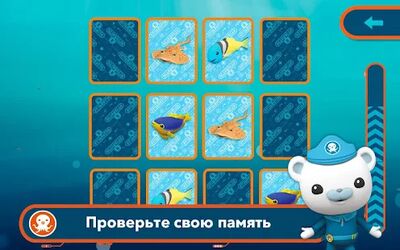 Скачать взломанную Октонавты и китовая акула [Много монет] MOD apk на Андроид