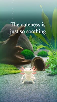 Скачать взломанную Axolotl Pet [Много денег] MOD apk на Андроид