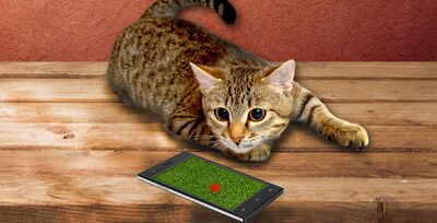 Скачать взломанную Лазер для кота! Ну и звуки.. [Мод меню] MOD apk на Андроид