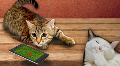 Скачать взломанную Лазер для кота! Ну и звуки.. [Мод меню] MOD apk на Андроид