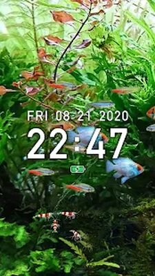 Скачать взломанную Tropical Fish Tank - Mini Aqua [Много денег] MOD apk на Андроид