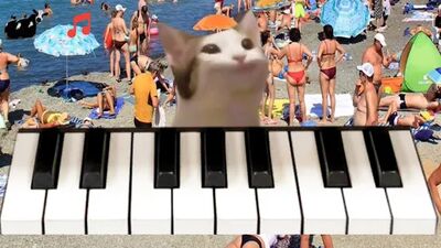 Скачать взломанную Pop Cat Piano [Много монет] MOD apk на Андроид