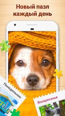 Скачать взломанную Пазлы - игра Jigsaw Puzzles [Много монет] MOD apk на Андроид