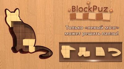 Скачать взломанную BlockPuz: игра-головоломка оффлайн [Бесплатные покупки] MOD apk на Андроид