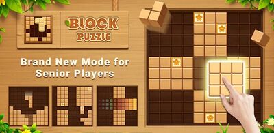 Скачать взломанную Wood Block Puzzle блочная игра [Мод меню] MOD apk на Андроид