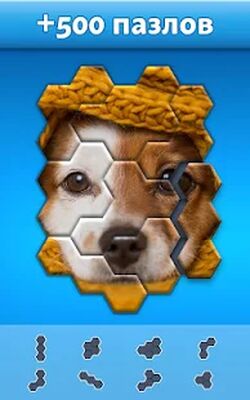 Скачать взломанную Hexa Jigsaw Puzzle ® [Много монет] MOD apk на Андроид