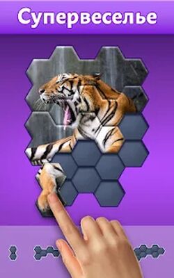 Скачать взломанную Hexa Jigsaw Puzzle ® [Много монет] MOD apk на Андроид