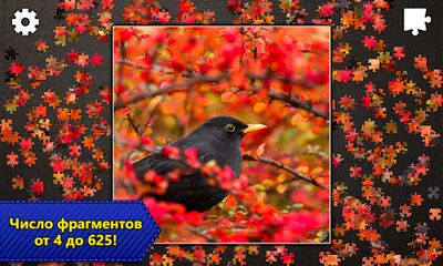 Скачать взломанную Пазлы Jigsaw Puzzle Epic [Много монет] MOD apk на Андроид