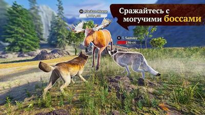Скачать взломанную The Wolf [Много денег] MOD apk на Андроид