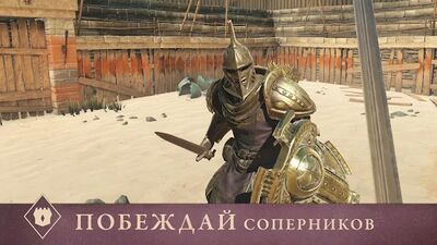 Скачать взломанную The Elder Scrolls: Blades [Много монет] MOD apk на Андроид