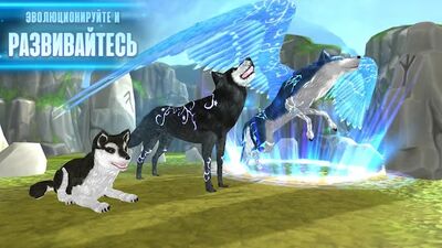 Скачать взломанную Wolf: The Evolution - Online RPG [Много монет] MOD apk на Андроид