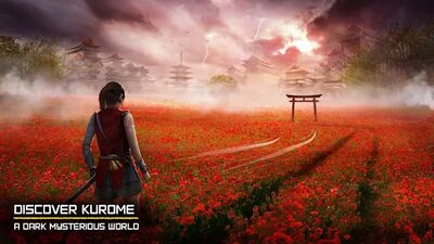 Скачать взломанную Ryuko Legend of Shadow Hunter [Много денег] MOD apk на Андроид