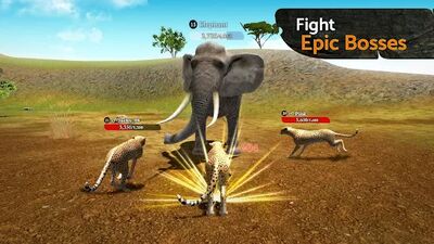 Скачать взломанную The Cheetah [Много монет] MOD apk на Андроид