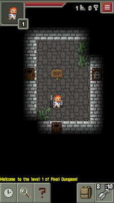Скачать взломанную Pixel Dungeon [Много монет] MOD apk на Андроид