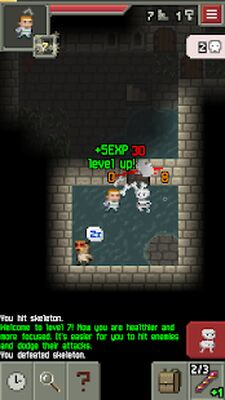 Скачать взломанную Pixel Dungeon [Много монет] MOD apk на Андроид