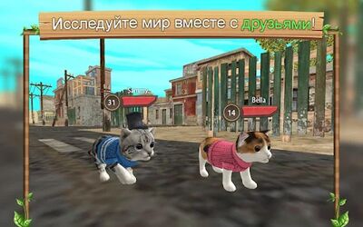 Скачать взломанную Симулятор Кошки Онлайн [Много денег] MOD apk на Андроид
