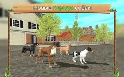 Скачать взломанную Симулятор Собаки Онлайн [Много монет] MOD apk на Андроид