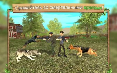 Скачать взломанную Симулятор Собаки Онлайн [Много монет] MOD apk на Андроид