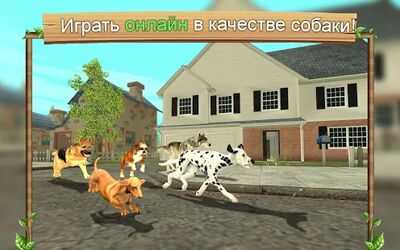 Скачать взломанную Симулятор Собаки Онлайн [Много монет] MOD apk на Андроид