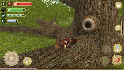 Скачать взломанную Симулятор Белки 2 : Онлайн [Много монет] MOD apk на Андроид
