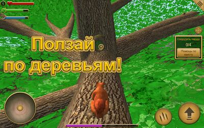 Скачать взломанную Симулятор Белки [Бесплатные покупки] MOD apk на Андроид