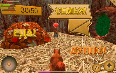 Скачать взломанную Симулятор Белки [Бесплатные покупки] MOD apk на Андроид
