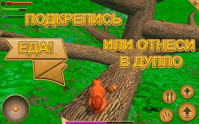 Скачать взломанную Симулятор Белки [Бесплатные покупки] MOD apk на Андроид