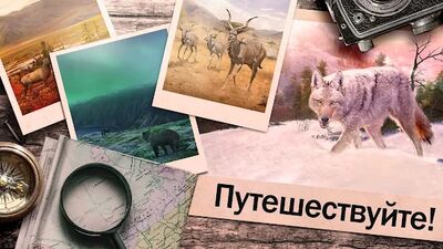Скачать взломанную Hunting Clash: охота симулятор [Много денег] MOD apk на Андроид